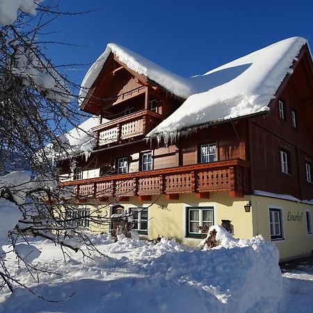 Linarhof Apartment Urlaub Am Bio Bauernhof Haus im Ennstal Exterior photo