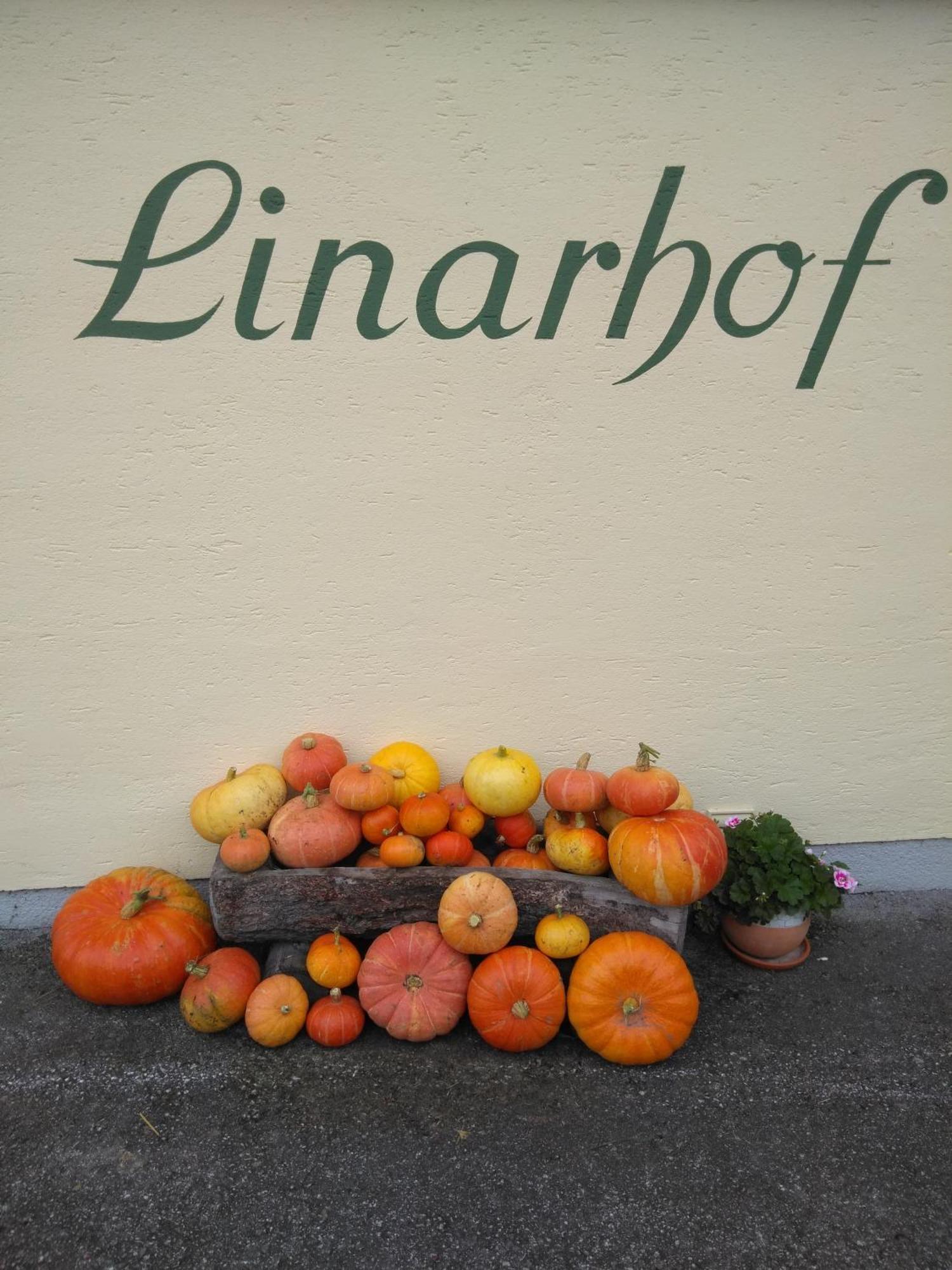 Linarhof Apartment Urlaub Am Bio Bauernhof Haus im Ennstal Exterior photo